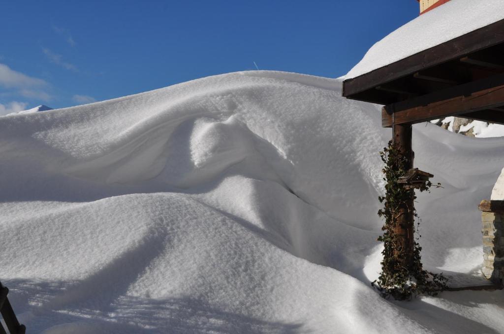 Alpen Apartments Austria Berwang Eksteriør billede